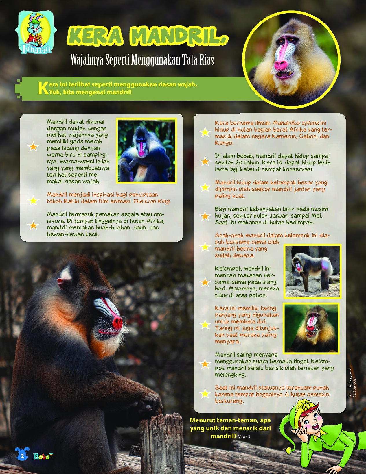 BOBO Page 1
