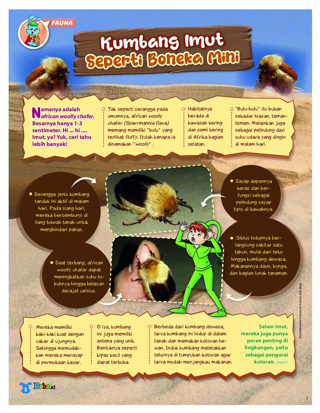 BOBO Page 1