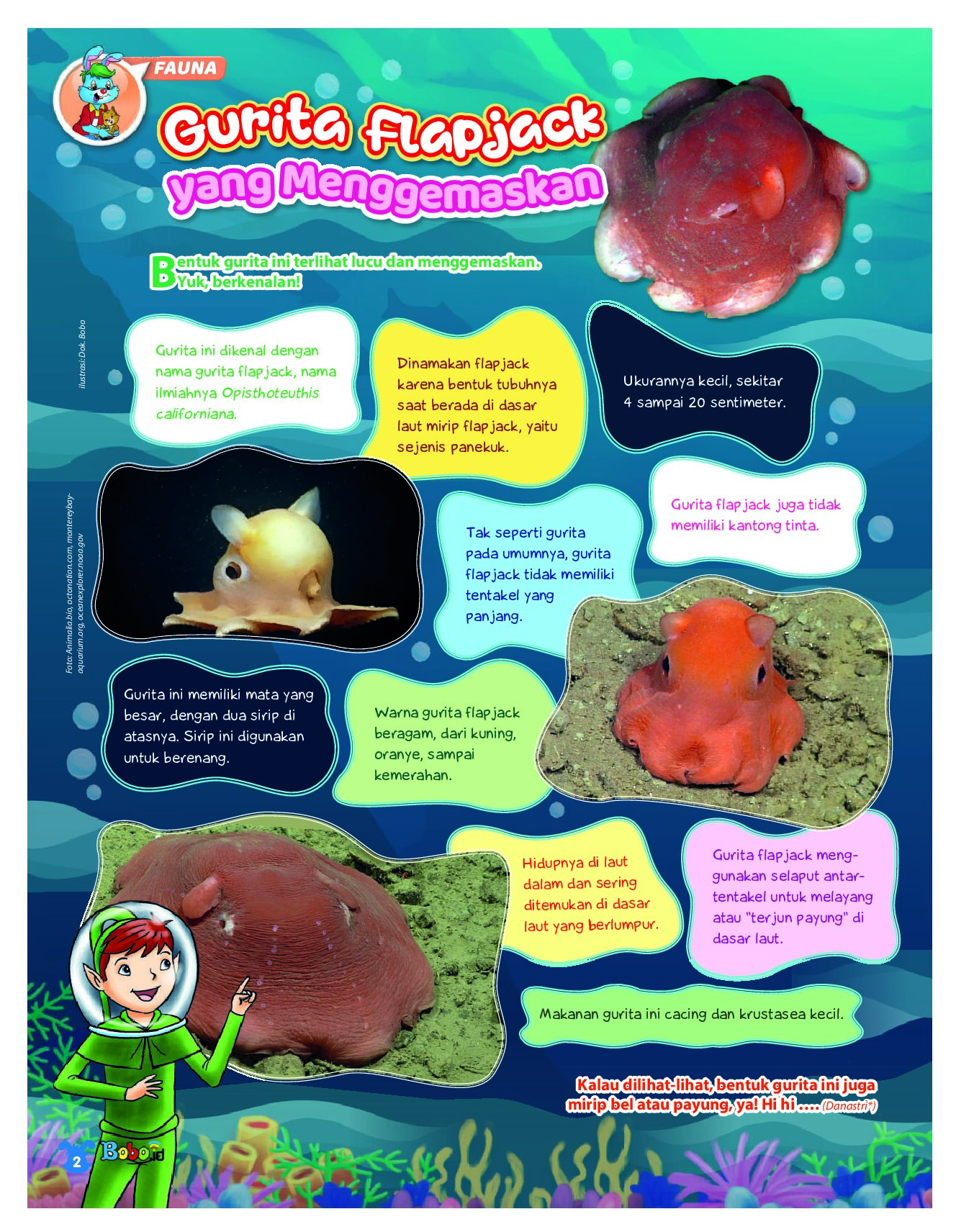 BOBO Page 1