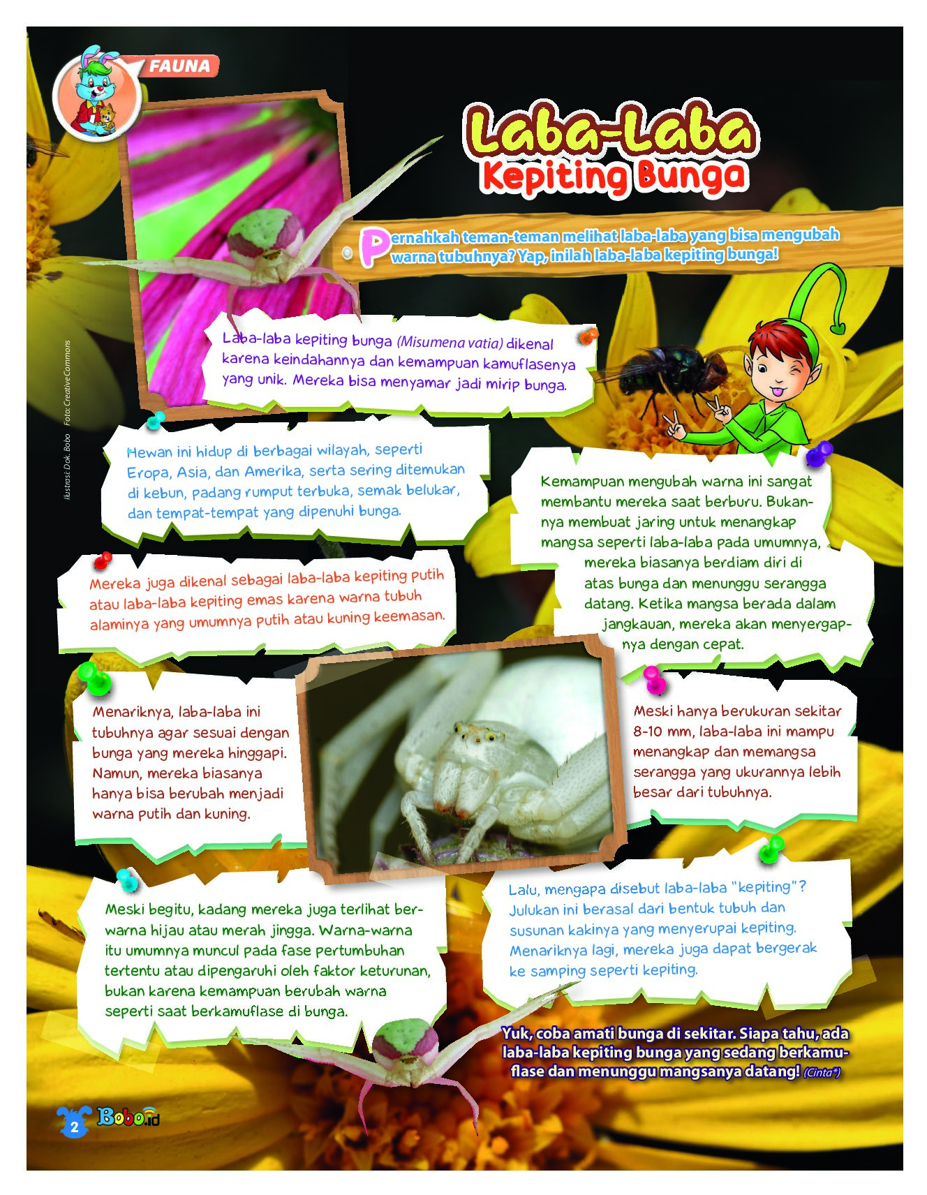 BOBO Page 1