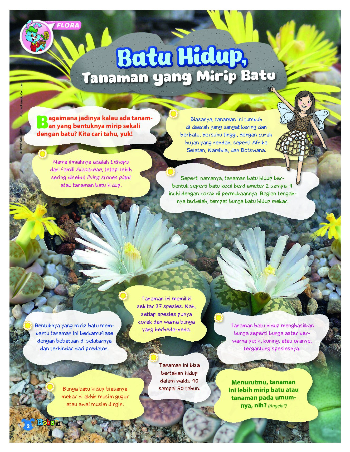BOBO Page 1