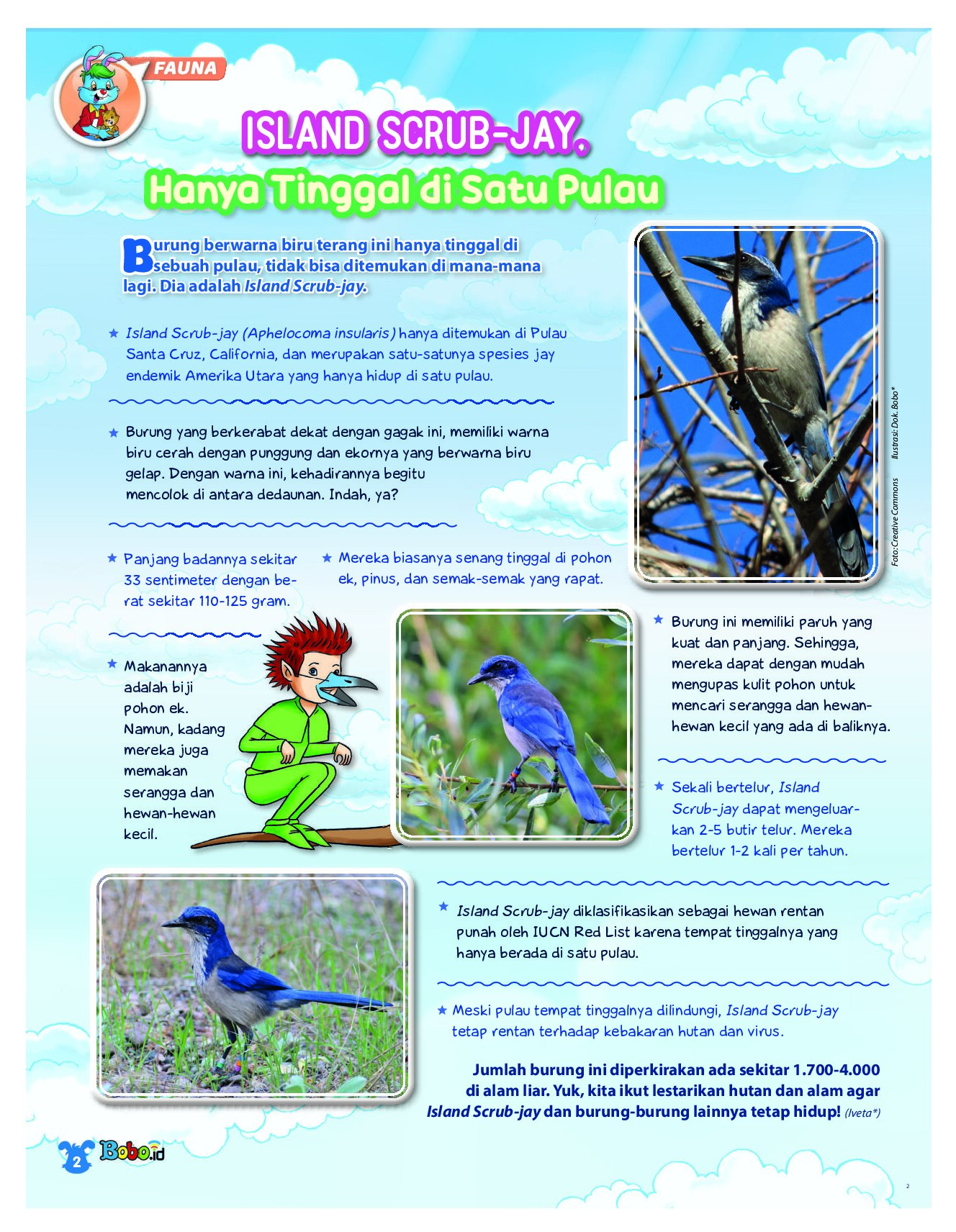 BOBO Page 1