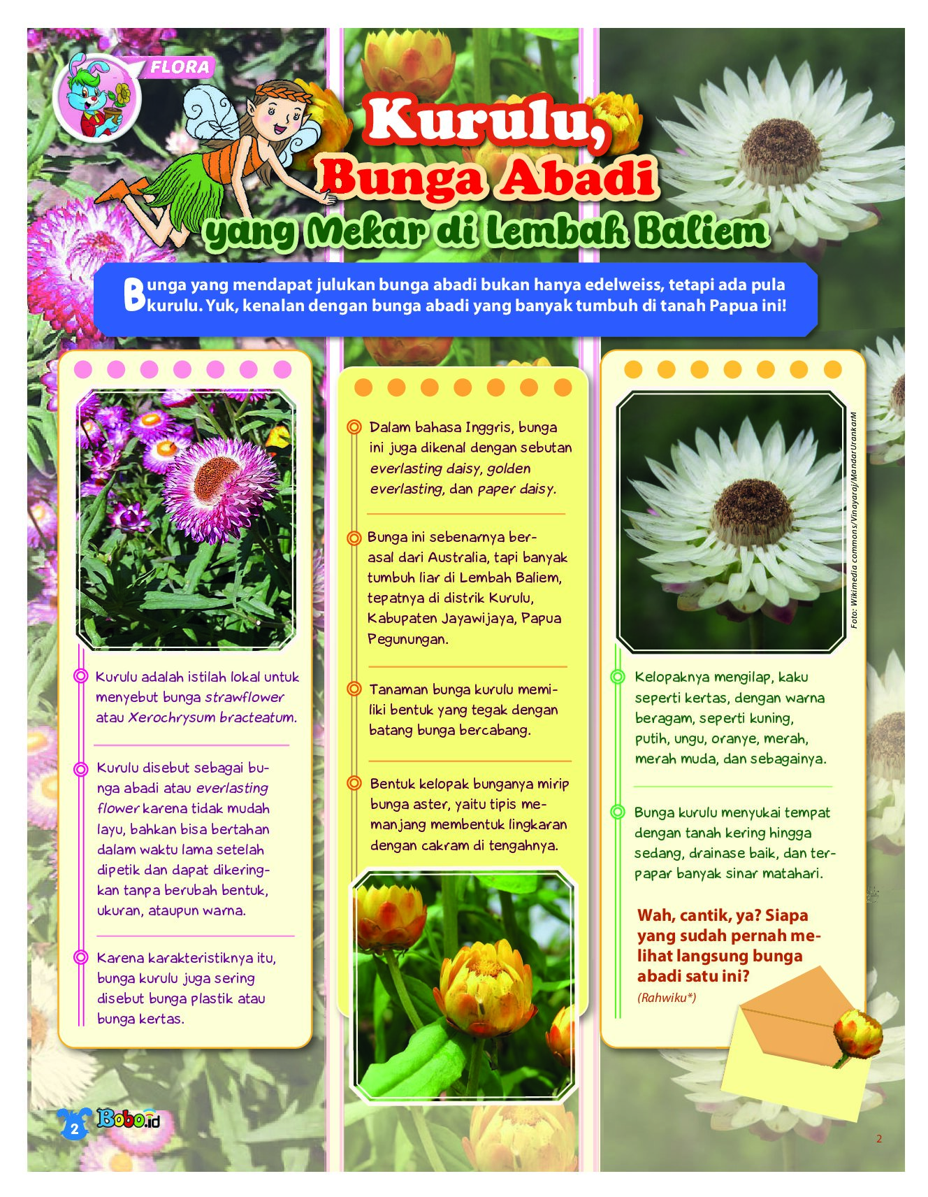 BOBO Page 1