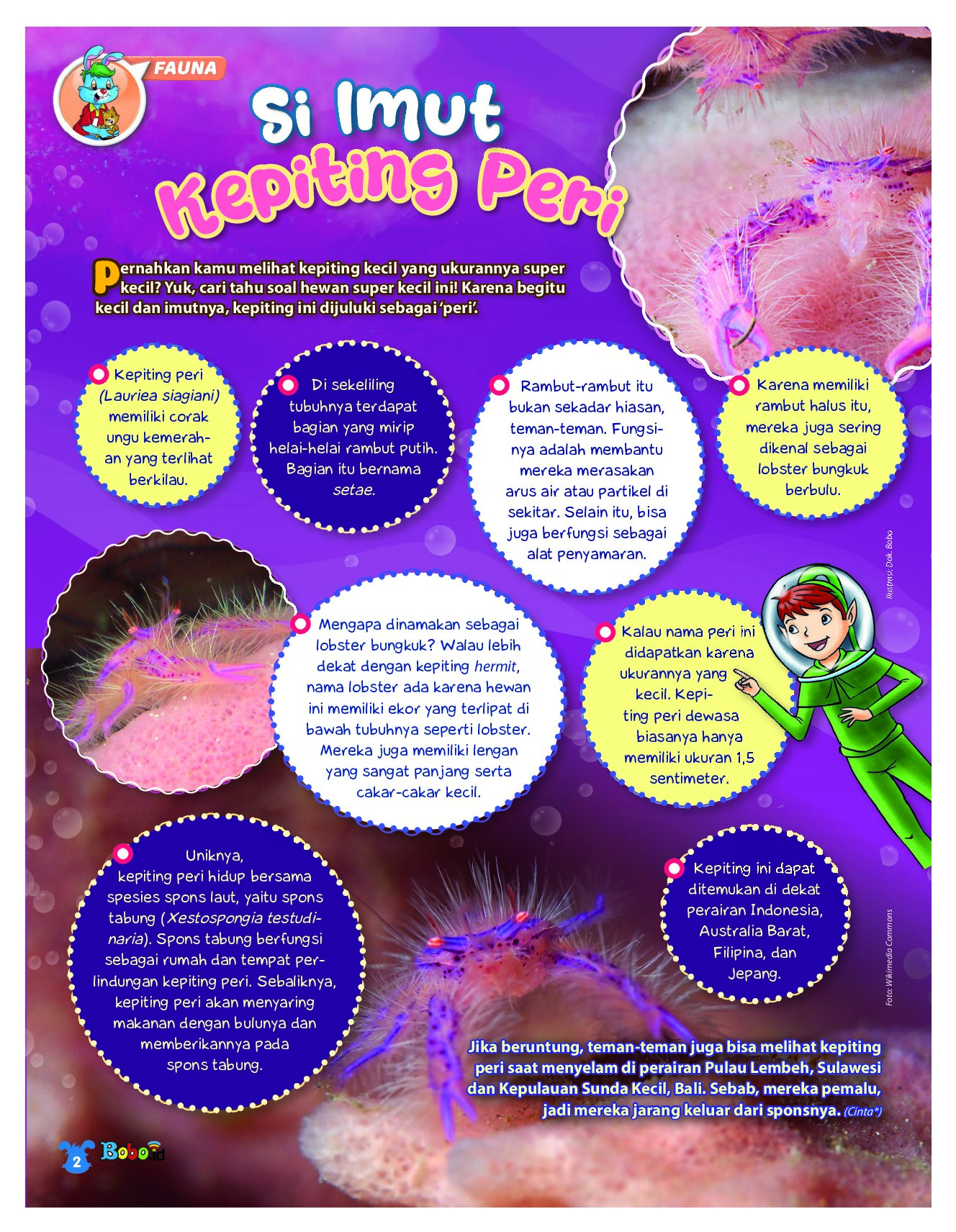 BOBO Page 1