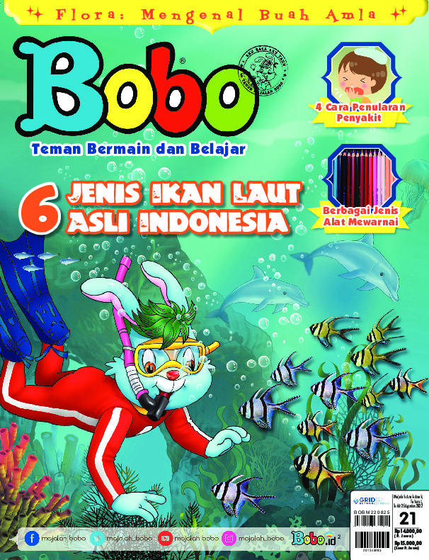 BOBO Page 1