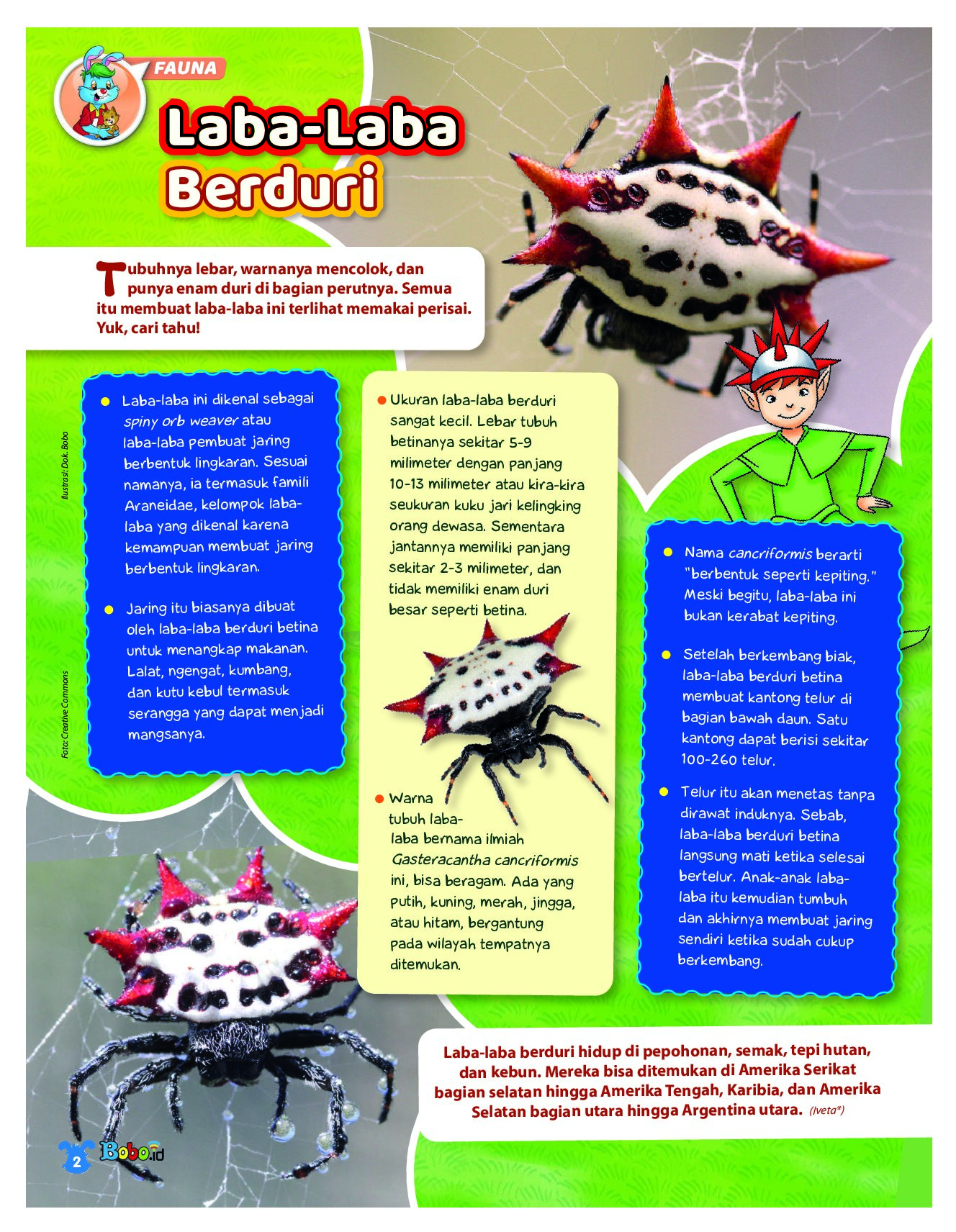 BOBO Page 1