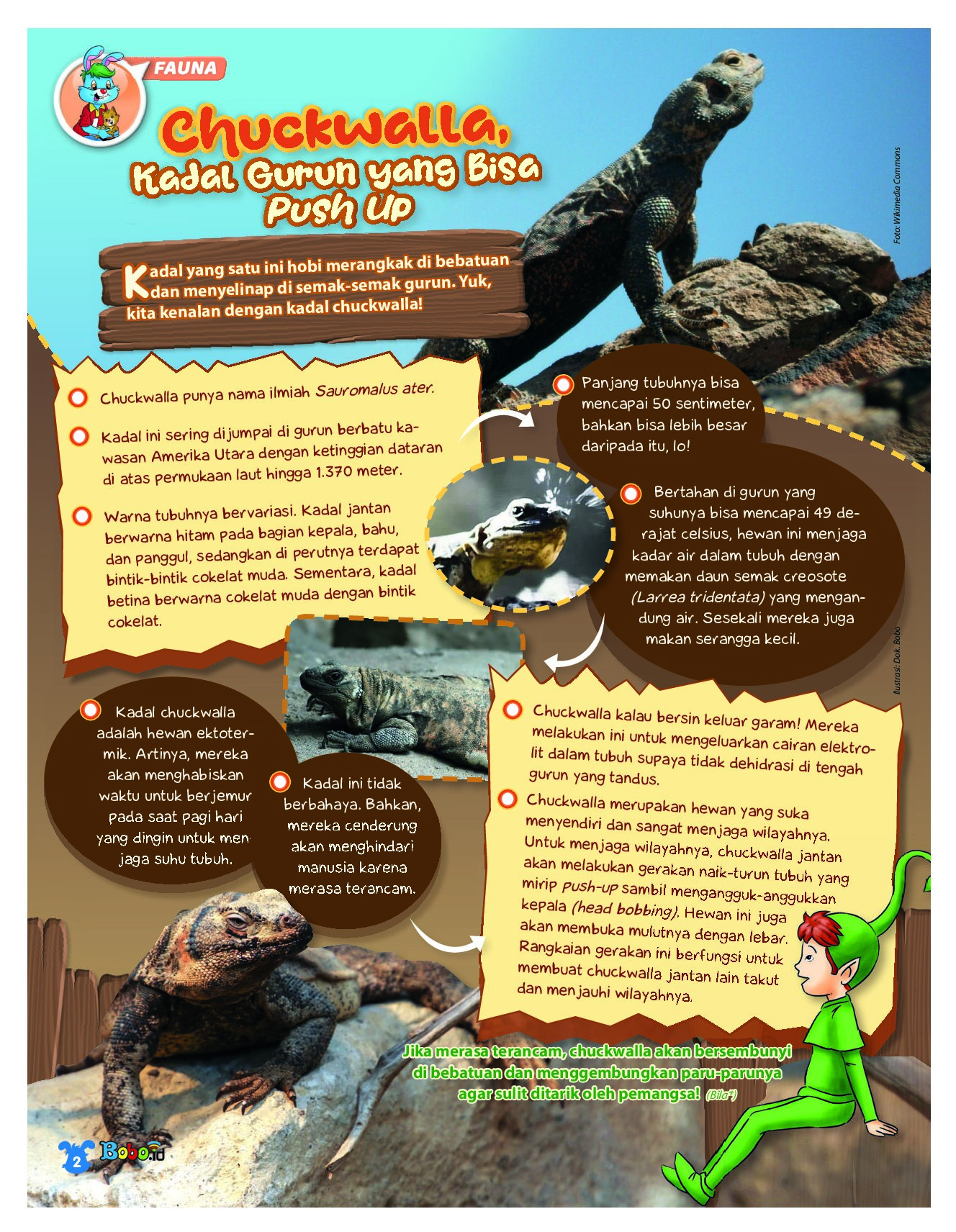 BOBO Page 1