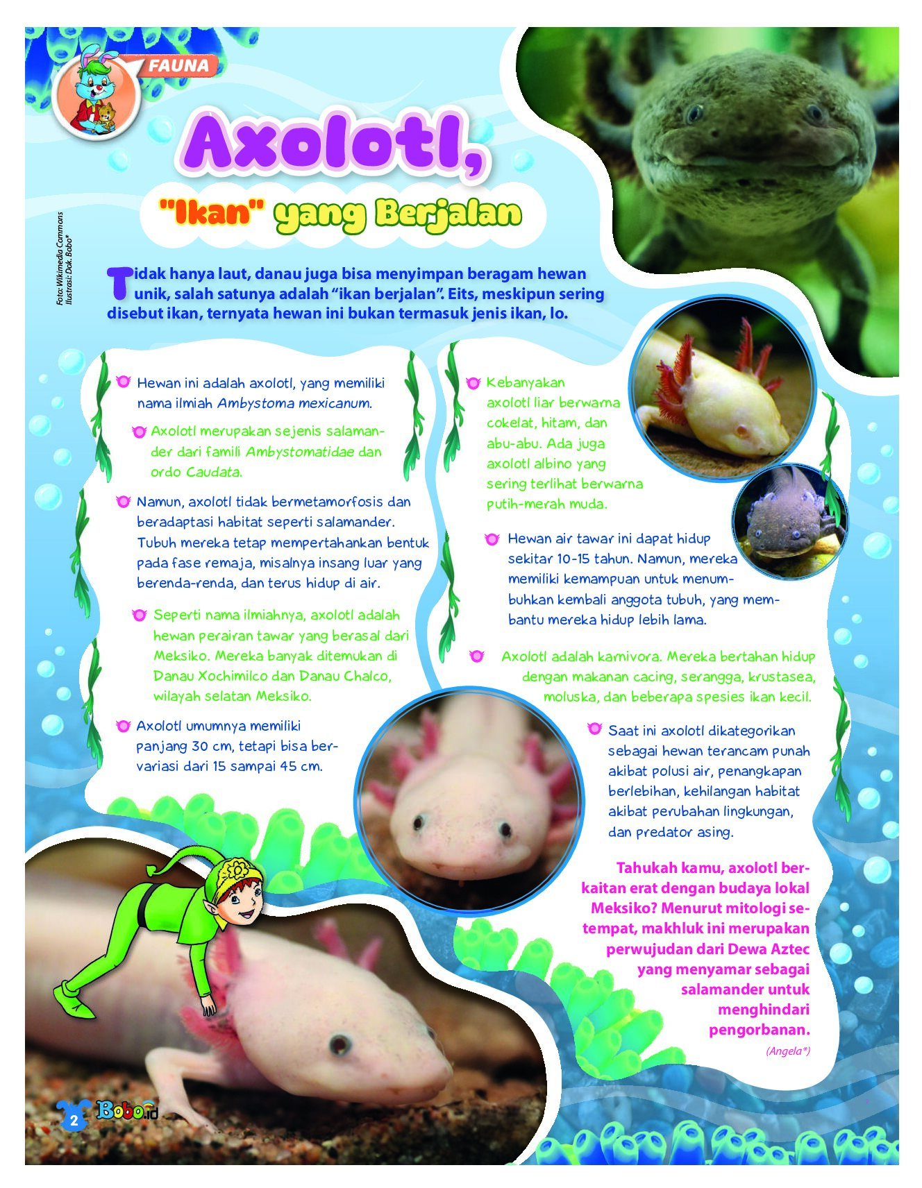 BOBO Page 1