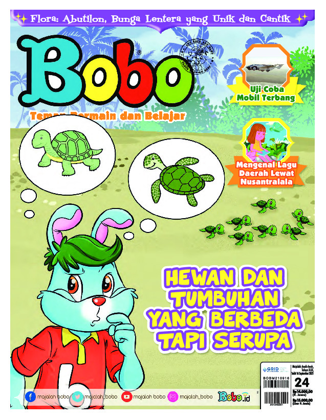 BOBO Page 1