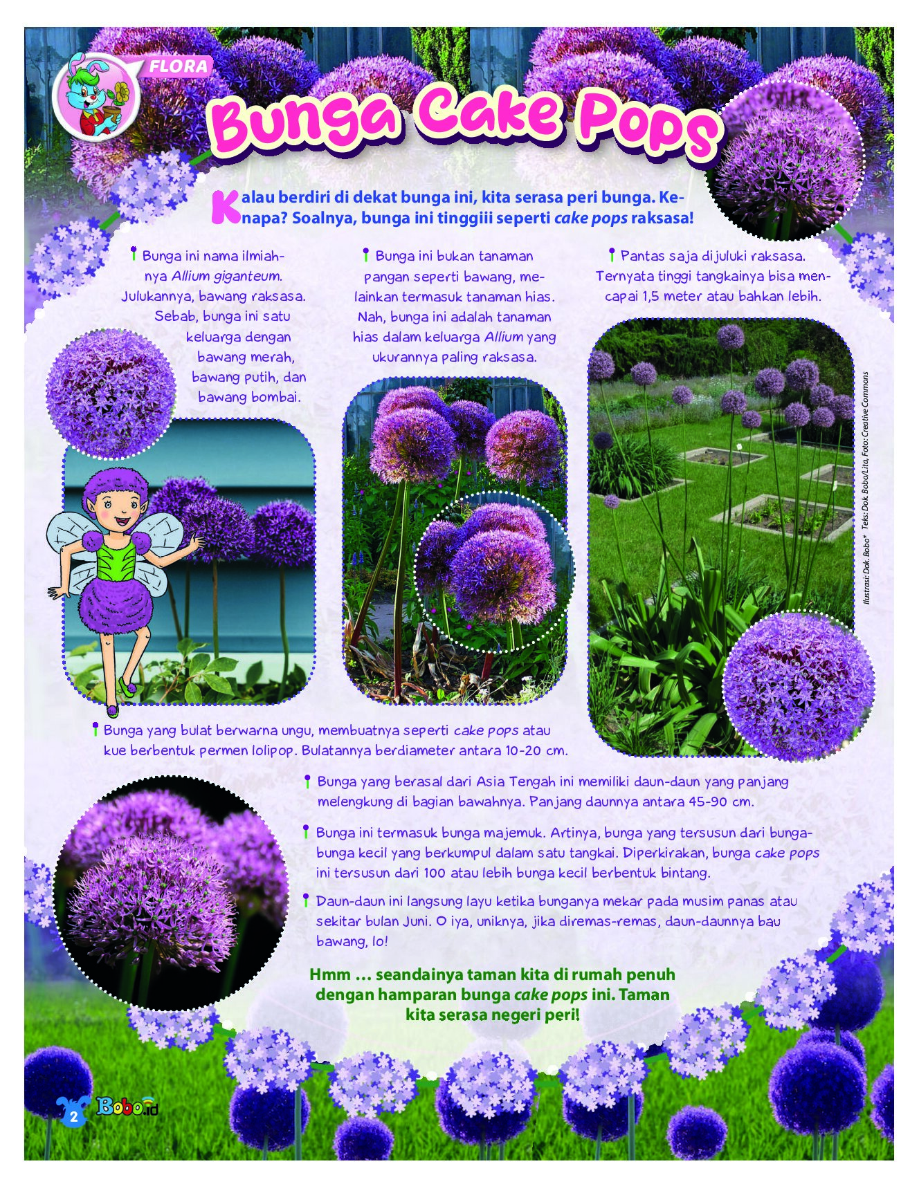 BOBO Page 1