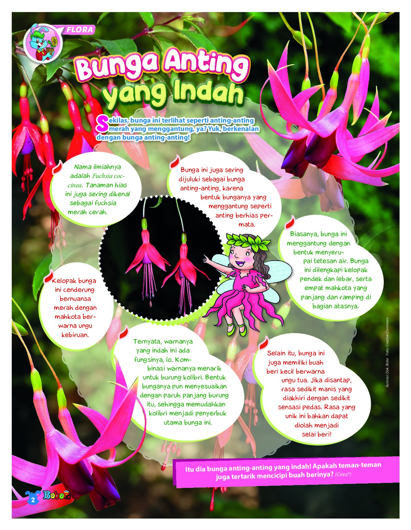 BOBO Page 1