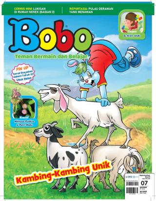 BOBO