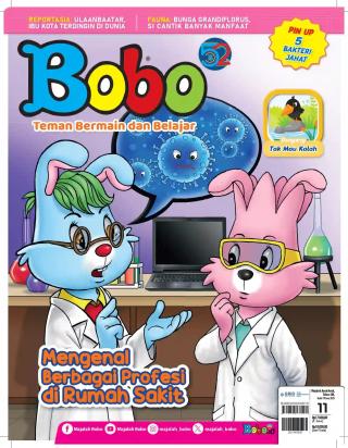 BOBO