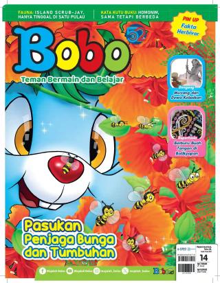 BOBO