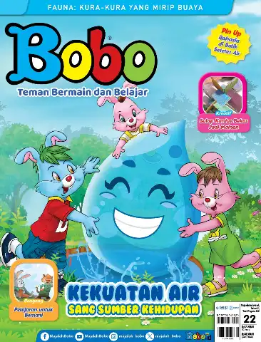 BOBO